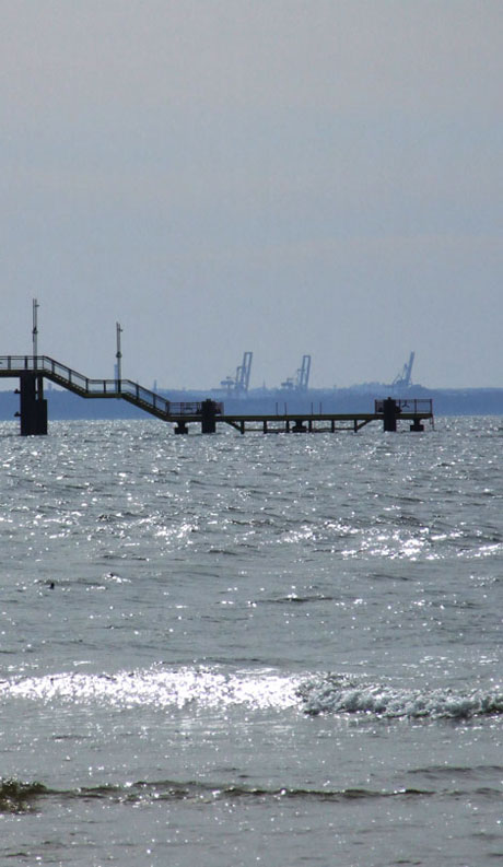 [Rozmiar: 36367 bajtów]